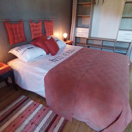 Apartament Au Bord De L'Eau Coulon Zewnętrze zdjęcie